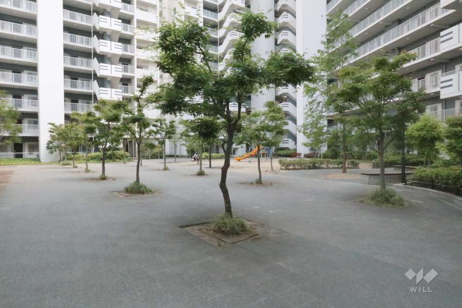 中庭