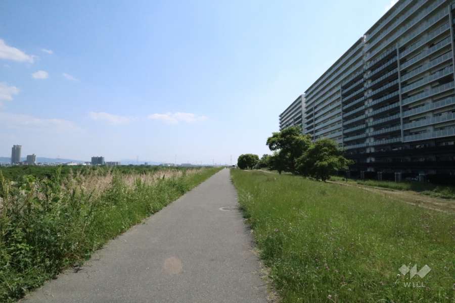 淀川スーパー堤防