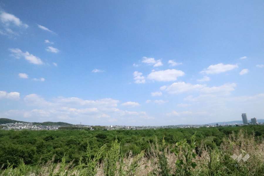 淀川スーパー堤防から眺める枚方市街地