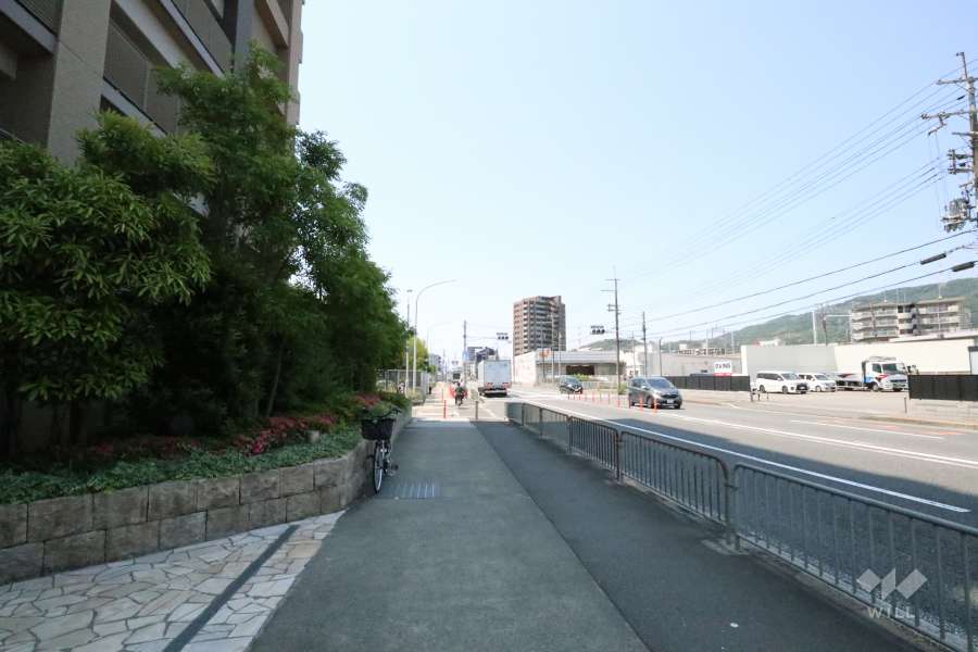 敷地北西側の前面道路。国道171号線です。