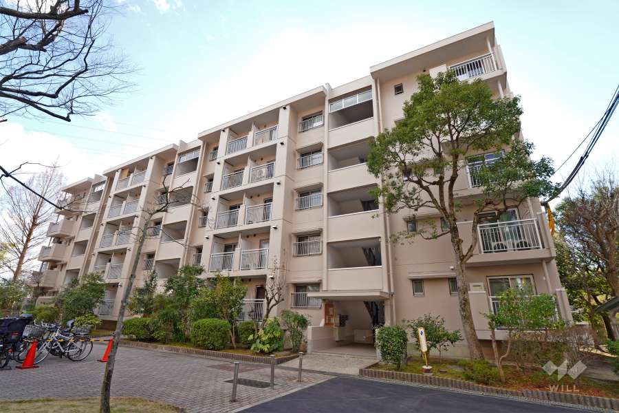 若山台第2住宅4号棟の外観（北西側から）
