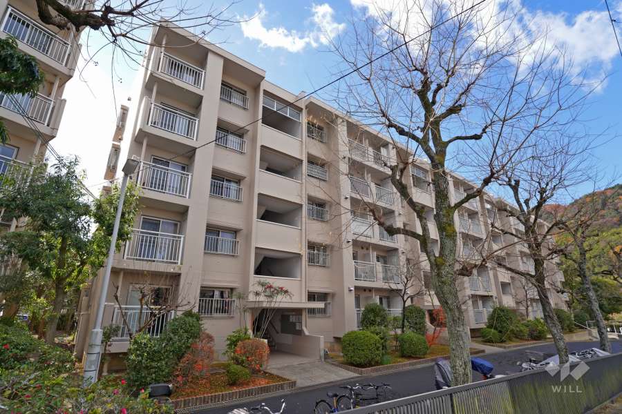 若山台第2住宅5号棟の外観（北東側から）