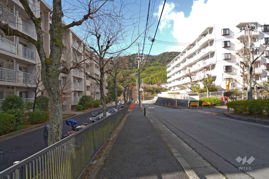 敷地北側の前面道路（東側から）