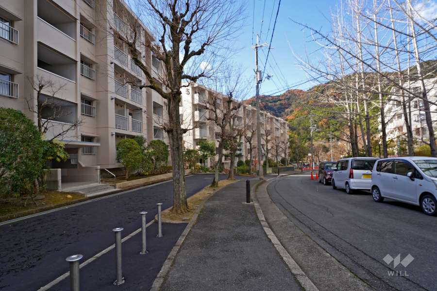 敷地北側の前面道路（東側から）