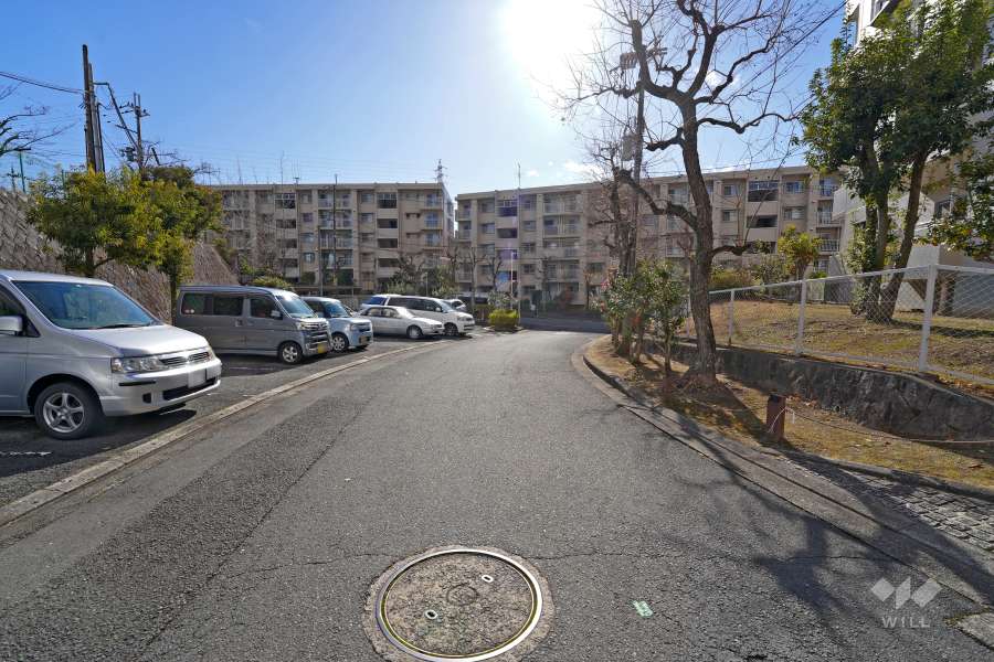 敷地北側の前面道路（西側から）