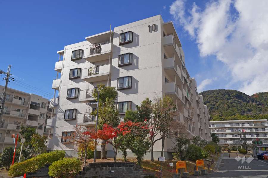 若山台第3住宅10号棟の外観（東側から）