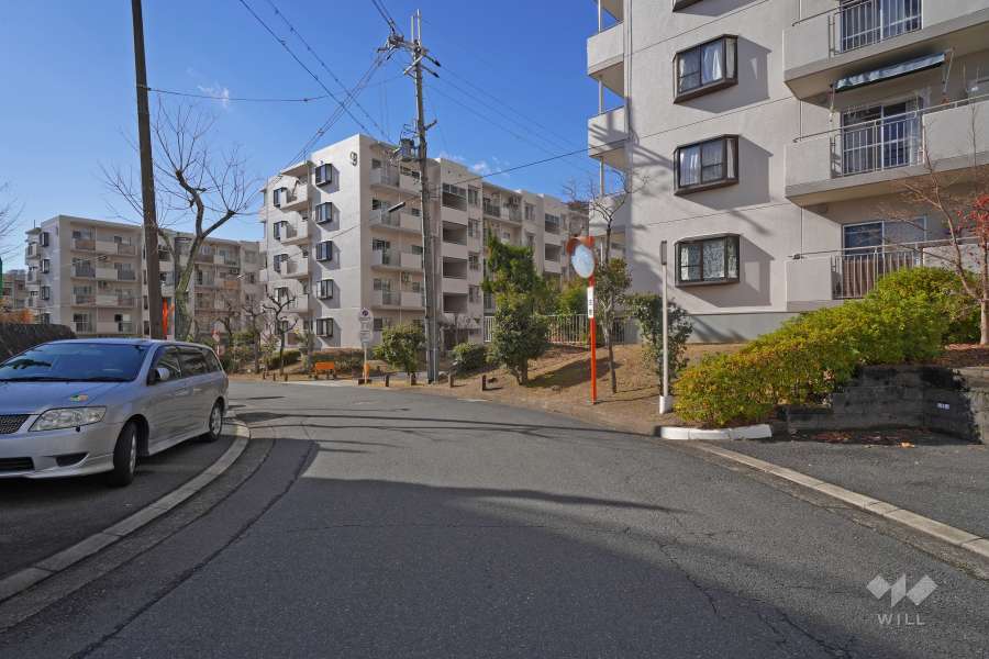 敷地東側の前面道路（北側から）