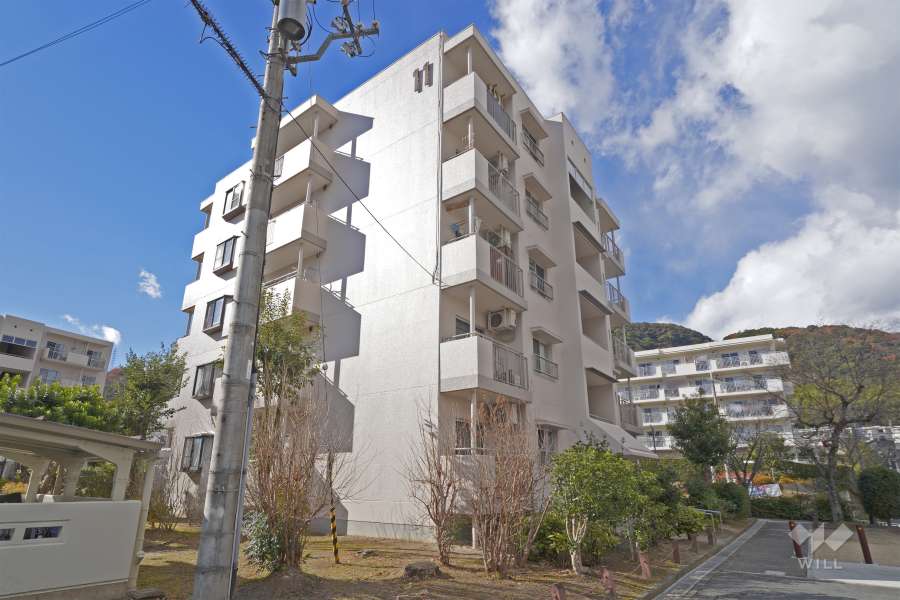 若山台第3住宅11号棟の外観（北東側から）