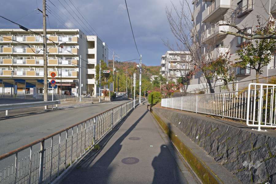 敷地西側前面道路（北側から）