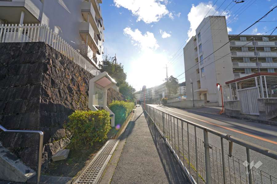 敷地北西側の前面道路（北側から）