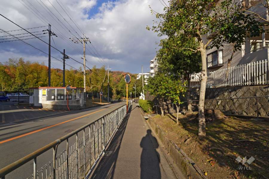 敷地北西側の前面道路（南側から）