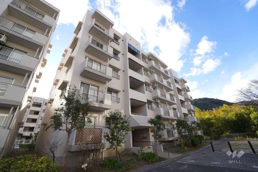 若山台第3住宅17号棟の外観（北東側から）