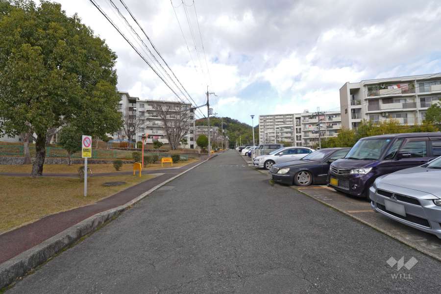 敷地東側の前面道路（南側から）