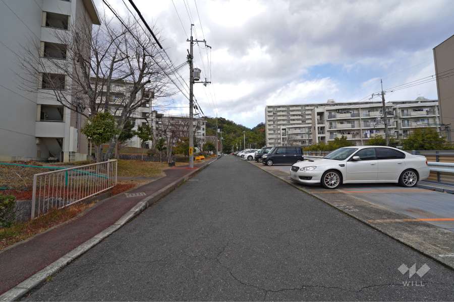 敷地側の前面道路（南側から）