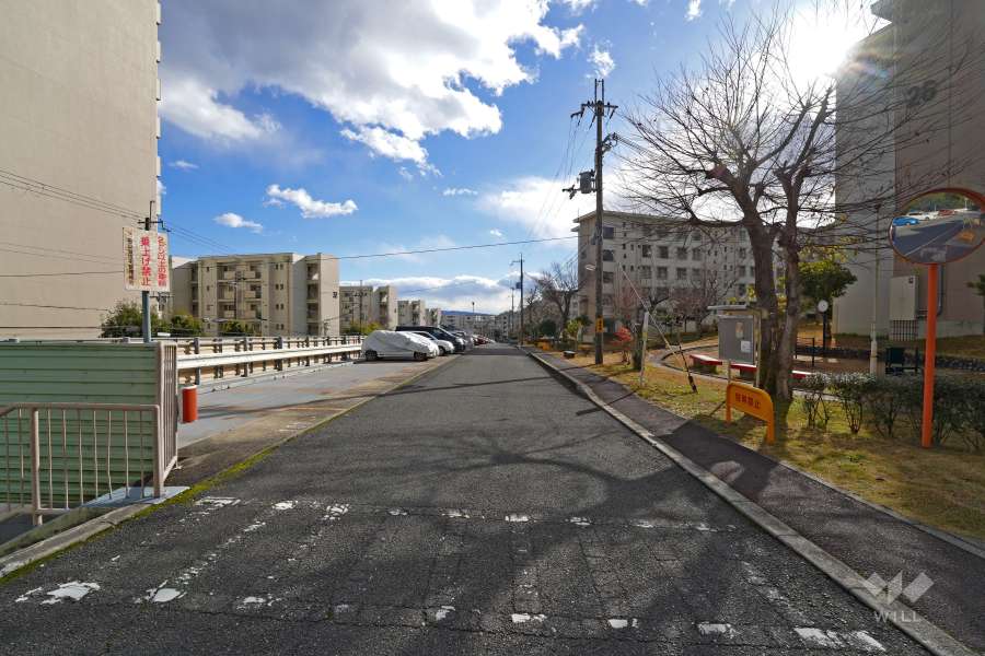 敷地東側の前面道路（北側から）