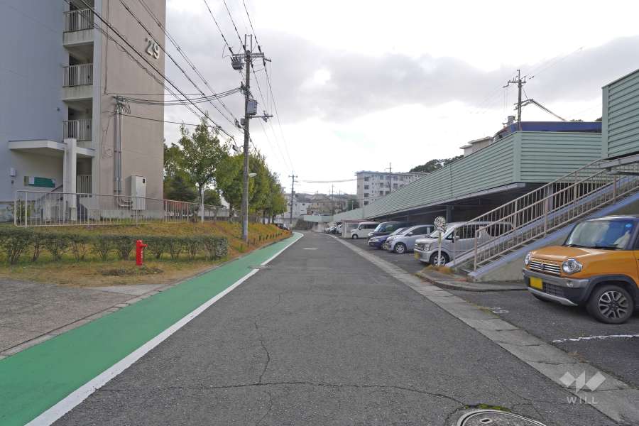 敷地西側の前面道路（北側から）