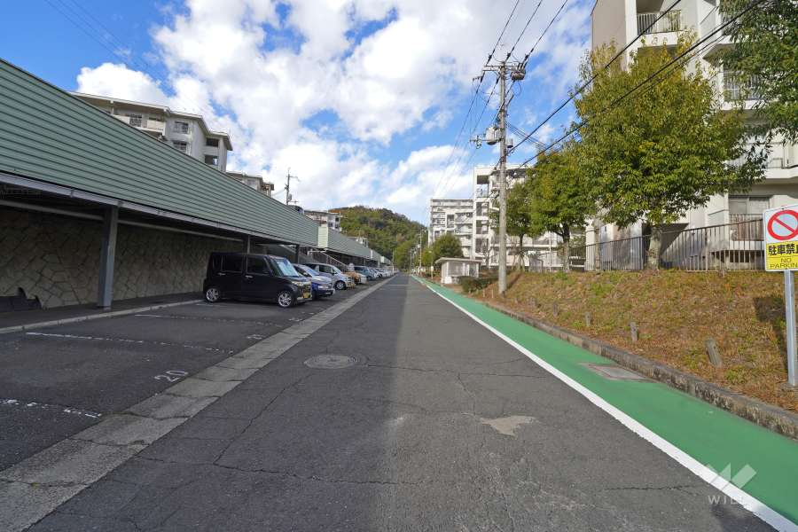 敷地西側の前面道路（南側から）