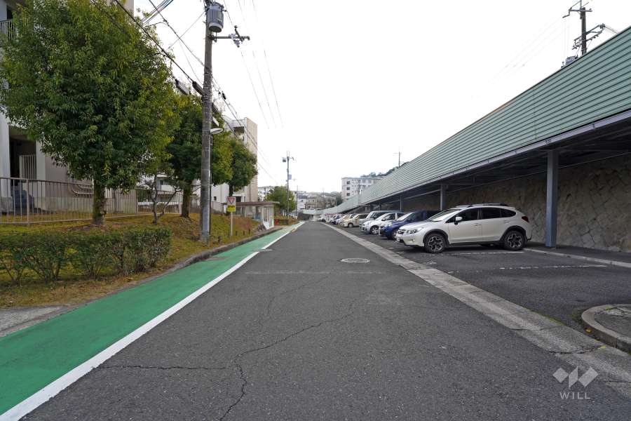 敷地西側の前面道路（北側から）