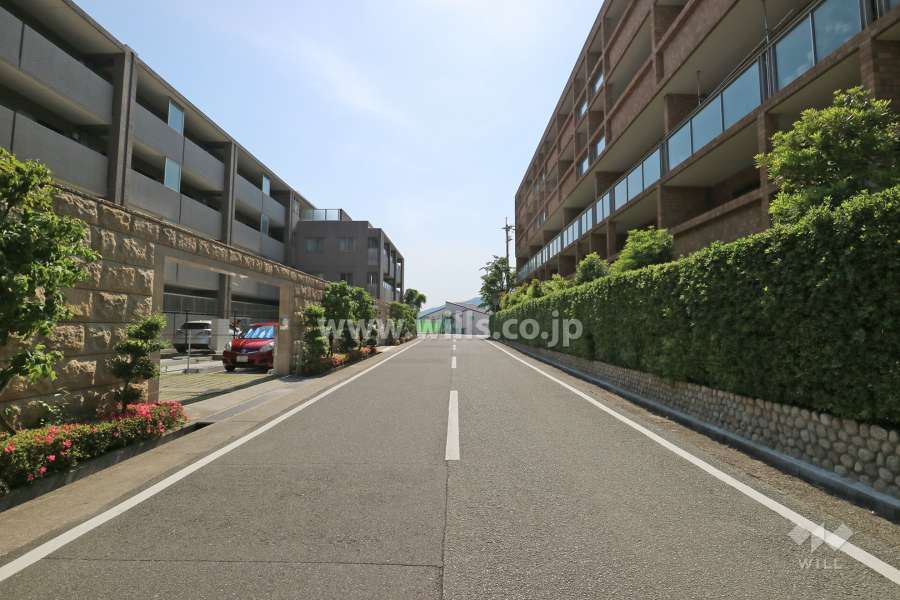 敷地北側の前面道路。周辺はマンションや戸建が立ち並ぶ閑静な住宅街です。