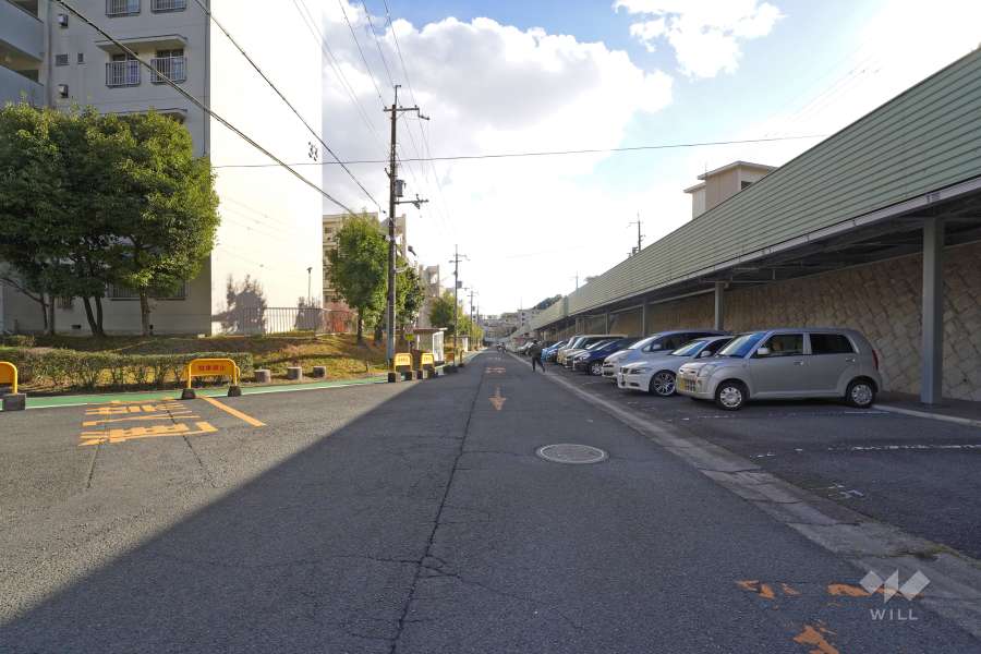 敷地西側の前面道路（北側から）