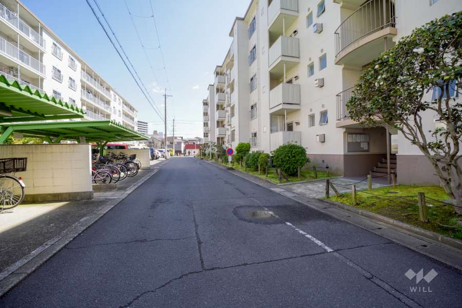 敷地北側の前面道路