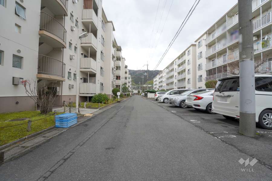 敷地北側の前面道路（東側から）