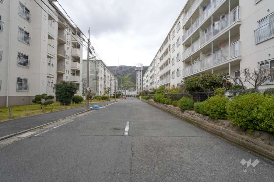敷地南側の前面道路（東側から）