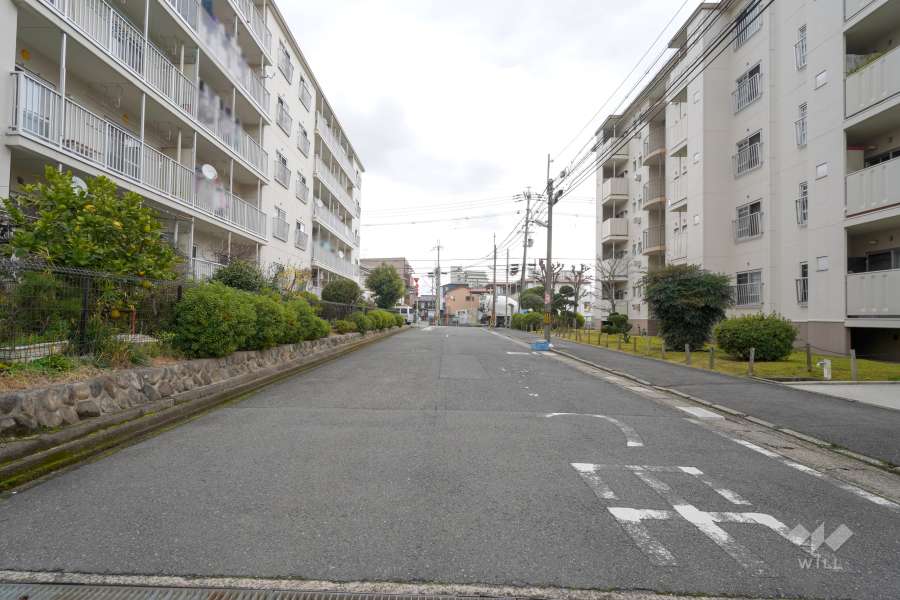 敷地南側の前面道路（西側から）