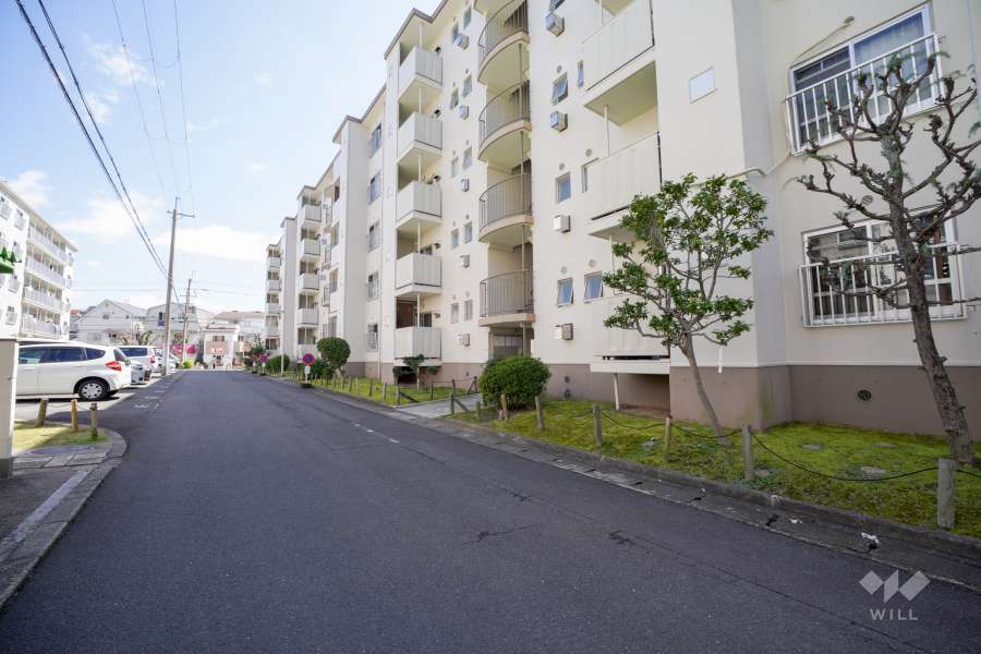 敷地北側の前面道路