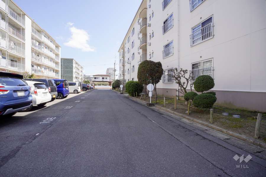 敷地北側の前面道路