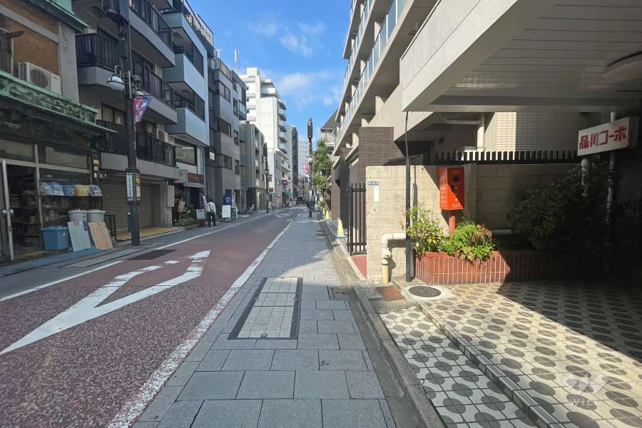 敷地南西側の前面道路（南東側から）