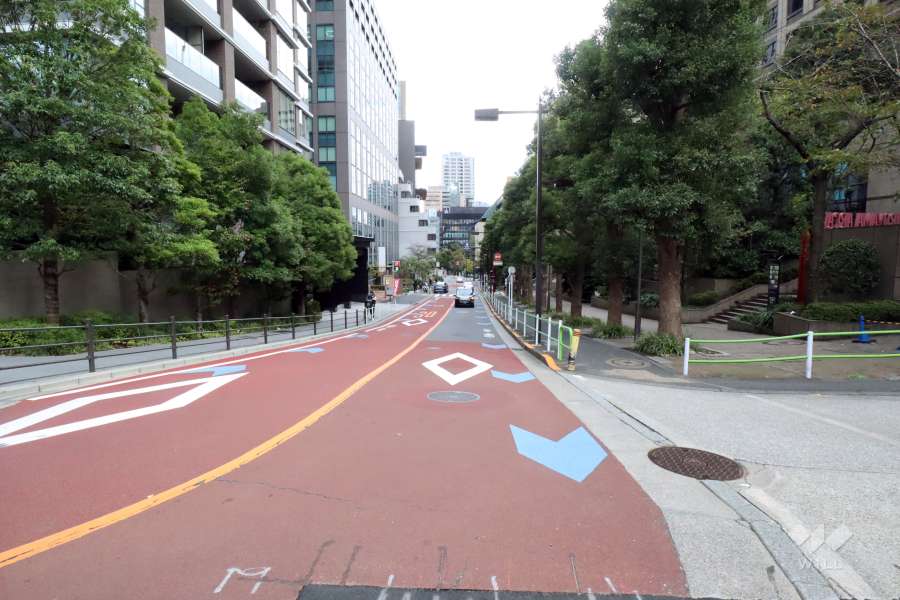 敷地南側の前面道路(西側から)