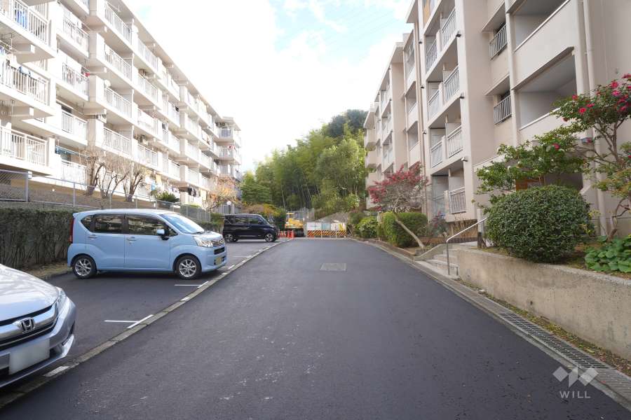 敷地北側の前面道路