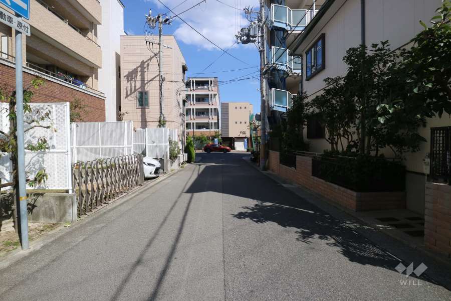 敷地南側の前面道路（西側から）