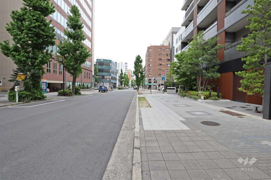 敷地南側の前面道路（東側から）