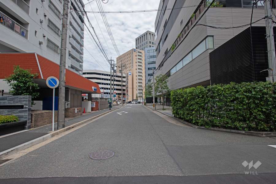 敷地南側の前面道路（西側から）