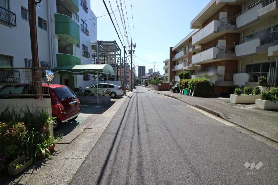 敷地北西側の前面道路（北東側から）