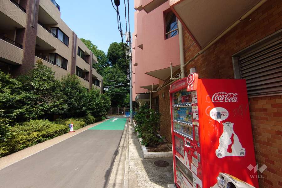 敷地北西側の前面道路（南西側から）