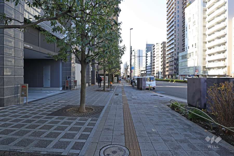 敷地北西側の前面道路（北東側から）