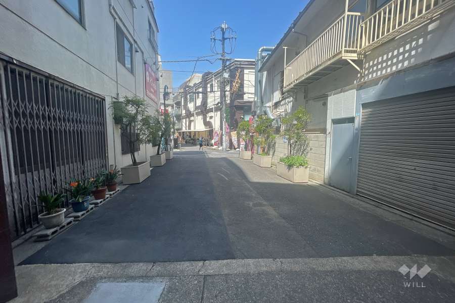 敷地北側の前面道路（南側から）
