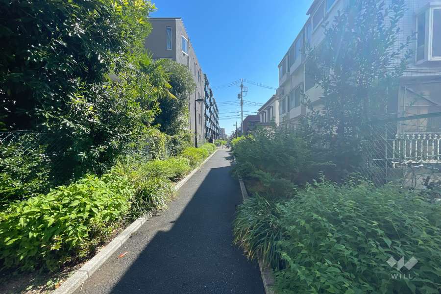 敷地南側の前面道路　