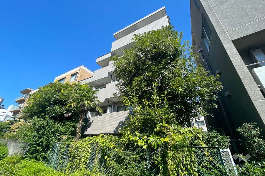 パーク・ノヴァ三軒茶屋南の外観（南東側から）