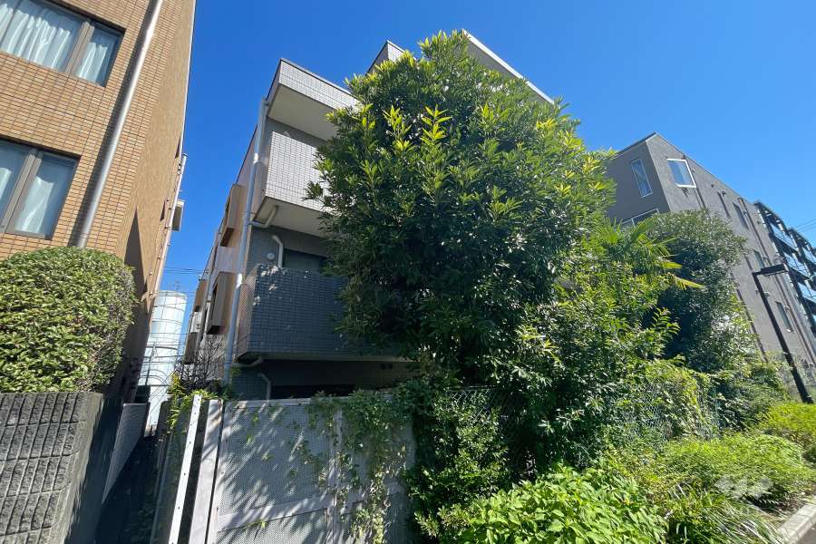 パーク・ノヴァ三軒茶屋南の外観（南西側から）