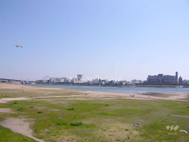 目の前に広がる『御前浜』