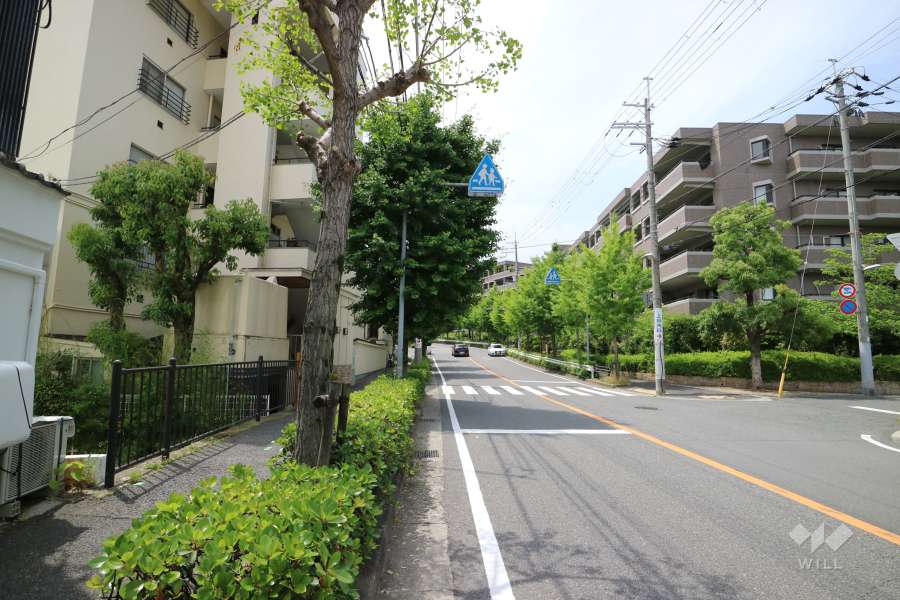敷地北側の前面道路（東側から）