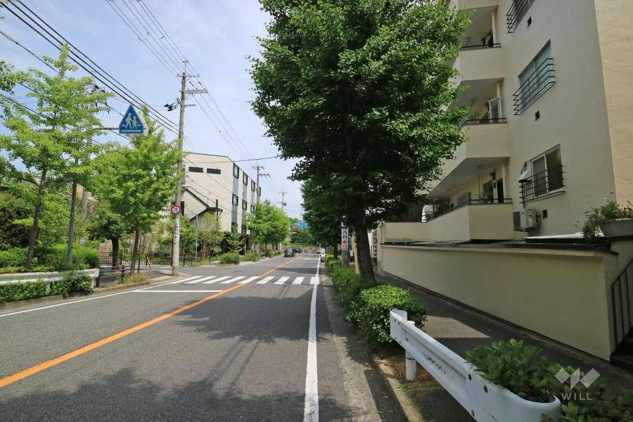 敷地北側の前面道路（西側から）