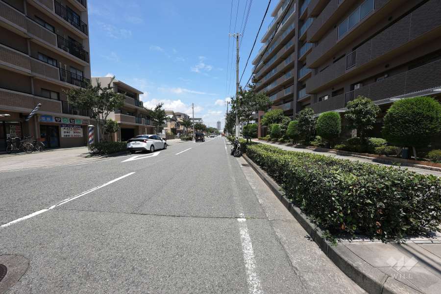 敷地西側の前面道路（南側から）
