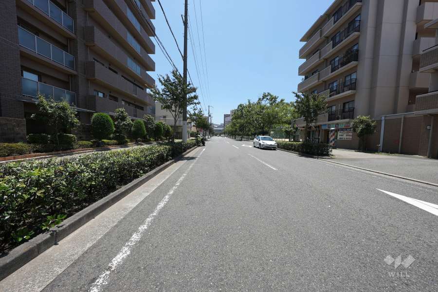 敷地西側の前面道路（北側から）