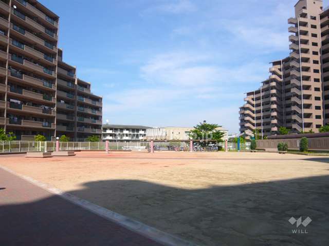 敷地中央にある広場（プレイロット）