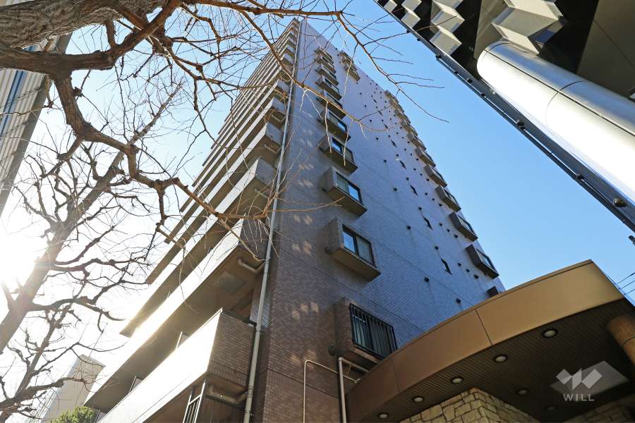 日神パレステージ三軒茶屋2の外観（北東側から）